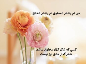 کسی که شکر گذار مخلوق نباشد شکر گذار خالق نیست